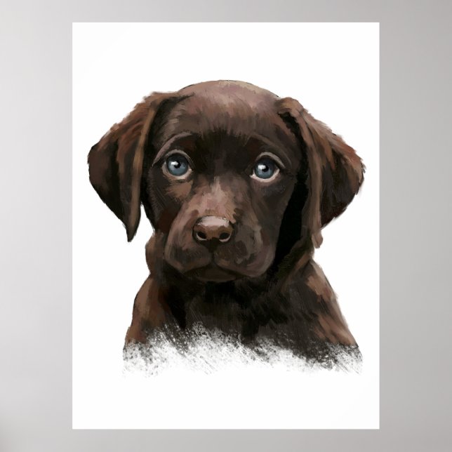 Poster Récupérateur de chocolat Labrador (Devant)