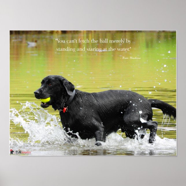 Poster Récupération d'eau (Devant)