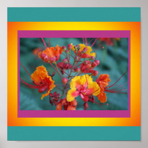 Poster Red Bird of Paradise