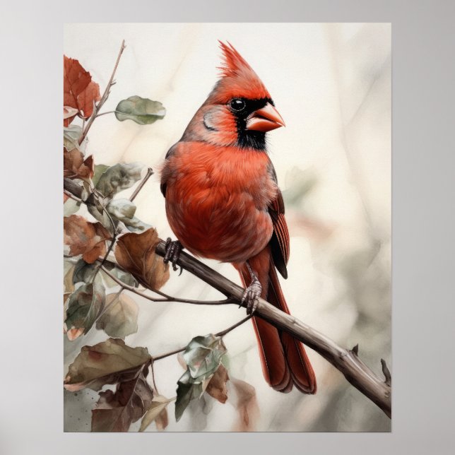 Poster Red Cardinal Bird Art Imprimer l'affiche (Devant)