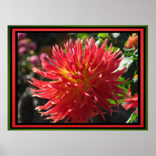 Poster Red Flower