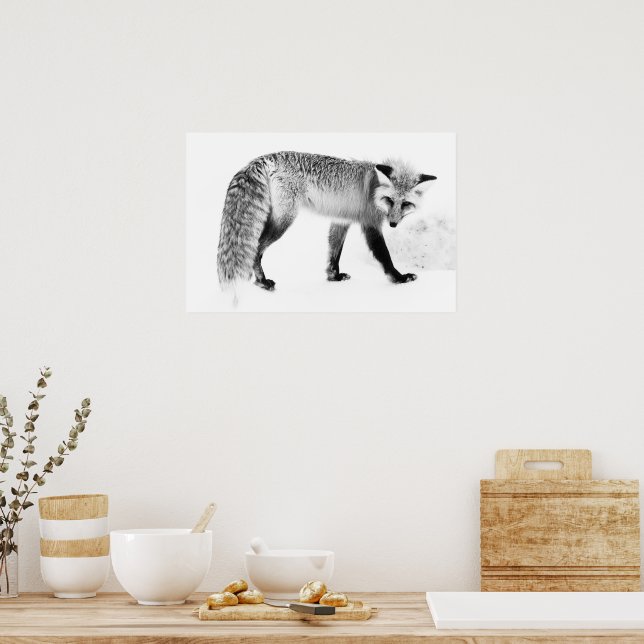 Poster Red Fox WildLife Photographie noir et blanc Art (Cuisine)