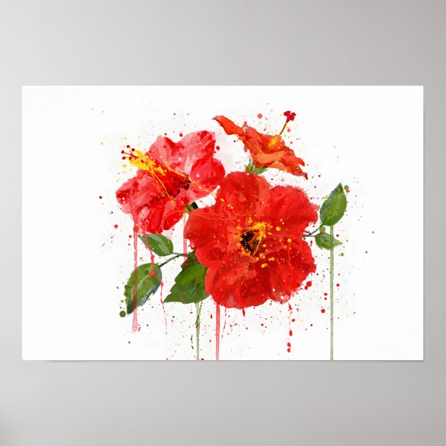 Poster Red Hibiscus (Devant)