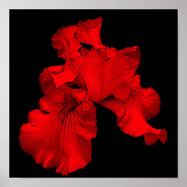 Poster Red Hot (Devant)