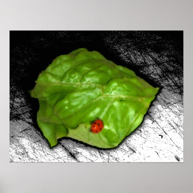 Poster Red Ladybug sur l'illustration de la feuille verte (Devant)