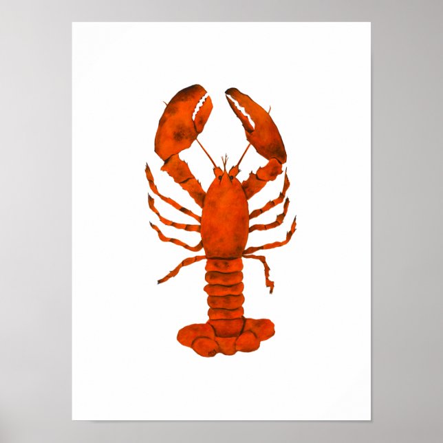 Poster Red Lobster  (Devant)