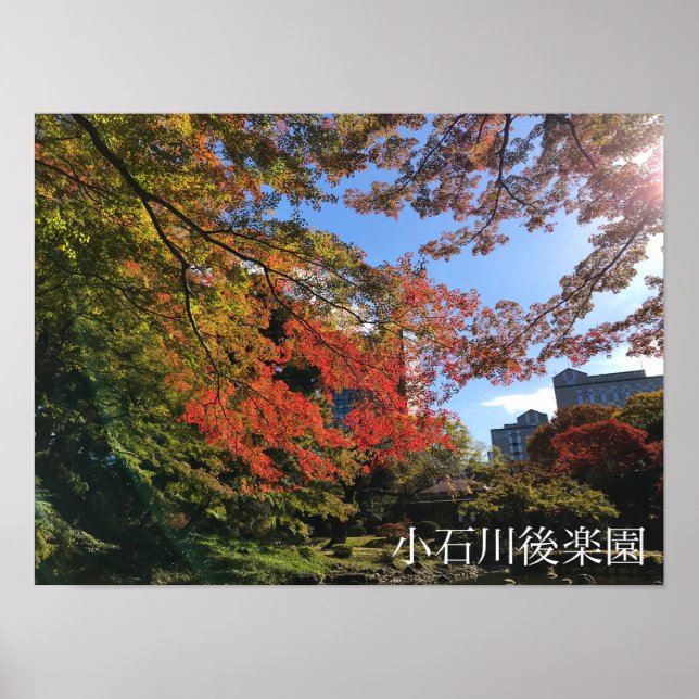 Poster Red Maples au Jardin Japonais (Devant)