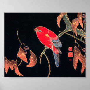Poster Red Parrot Vintage Bird Japanese Woodblock