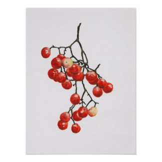 Poster Red Peppercorns - Botanical Study 1