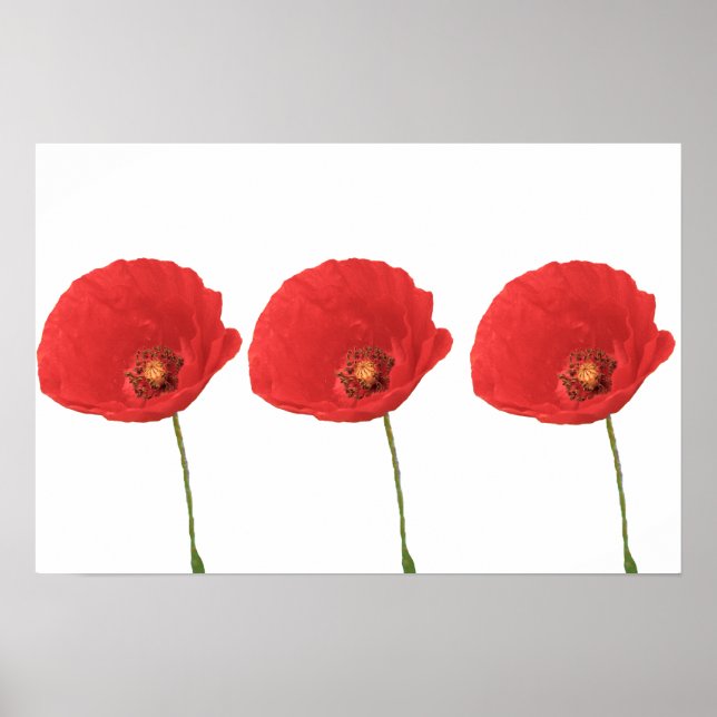 Poster Red Poppies Imprimer (Devant)