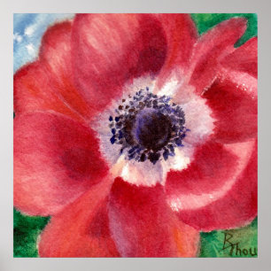 Poster Red Poppy