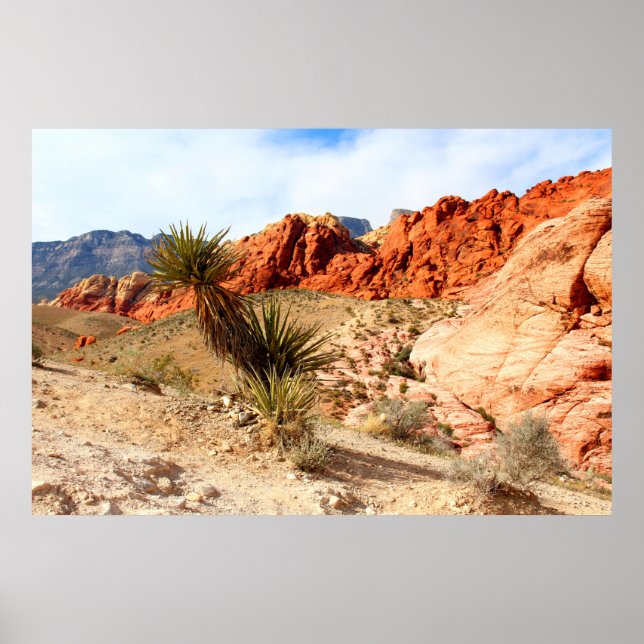 Poster Red Rock Canyon Spring Mountains Arrière - plan (Devant)