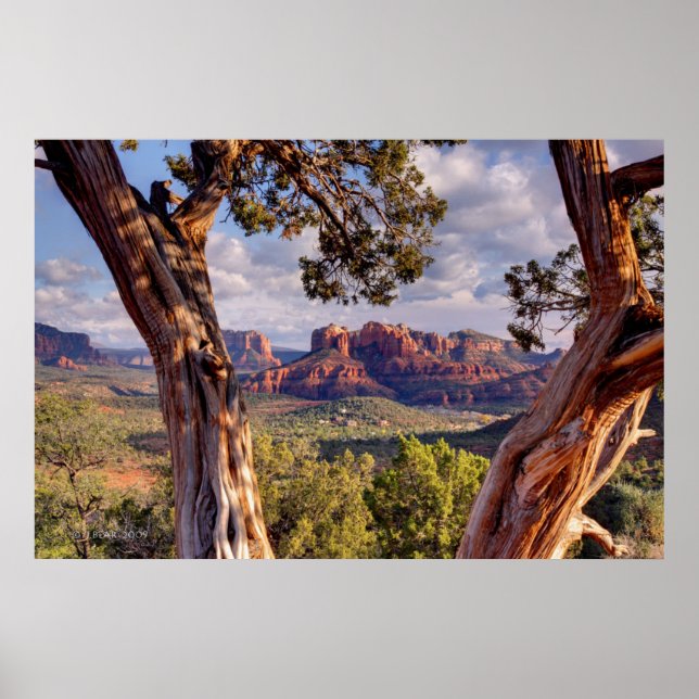 Poster Red Rock | Sedona Arizona (Devant)