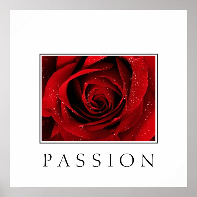 Poster-Red Rose-Passion Poster (Front)
