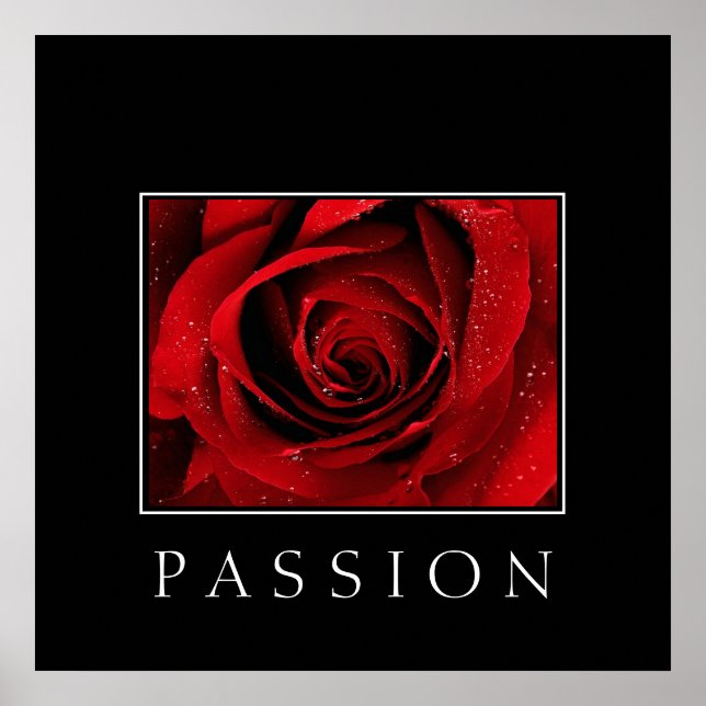 Poster-Red Rose-Passion Poster (Front)