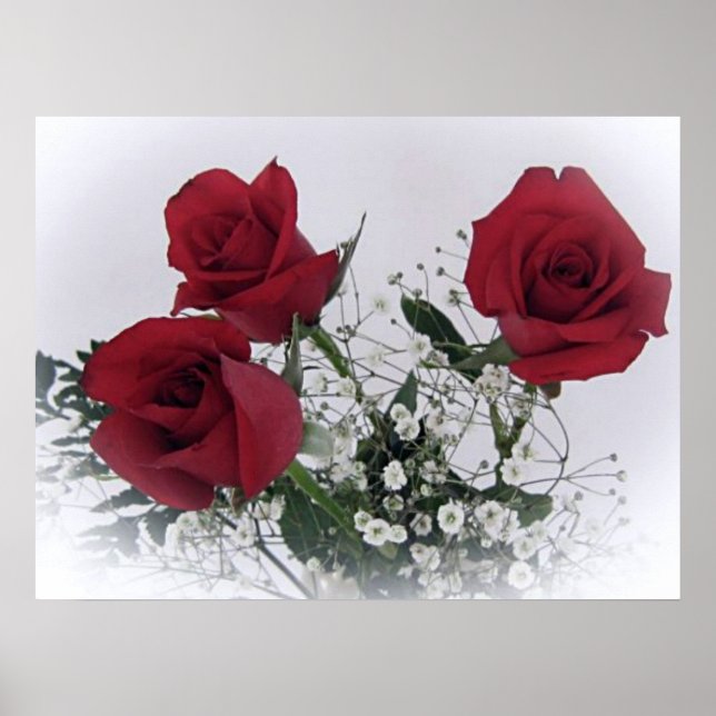 Poster Red Roses (Devant)