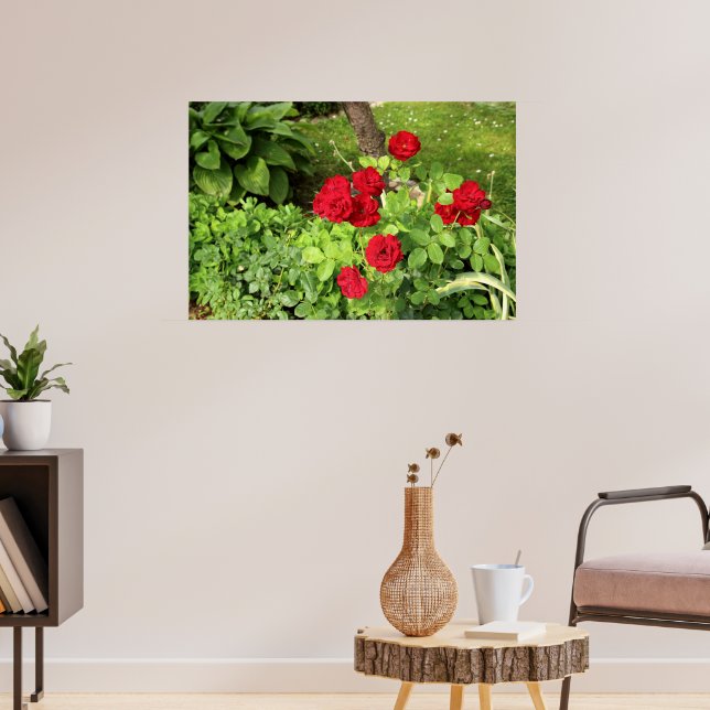 Poster Red Roses (Salon 3)