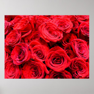 Poster Red Roses élégant rouge floral photo Momlife