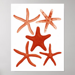 Poster Red Starfish no.1 Beach Decor Wall Art Print