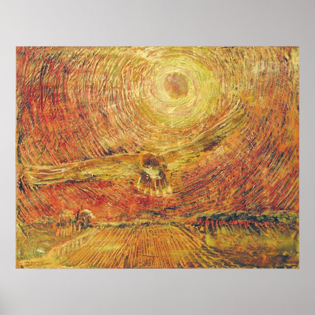 Poster Red Tail Hawk - Vent (Devant)