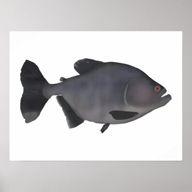 Poster Redeye Piranha (Devant)