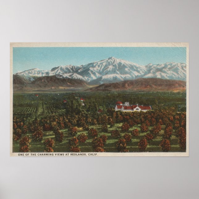Poster Redlands, CA - Scène Mountain & Orchard (Devant)