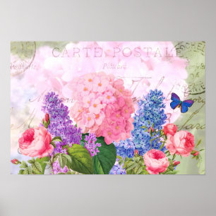 Poster Redoute Fleurs Vintages