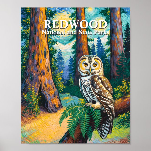 Poster Redwood National Park Forest Owl Van Gogh Style (Devant)