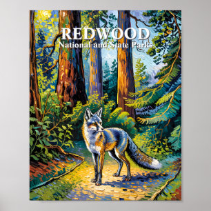 Poster Redwood National Park Van Gogh Forêt Renard Person
