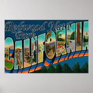 Poster Redwood Nat'l Park, Californie