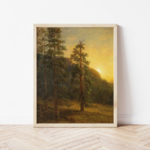 Poster Redwoods Californie   Albert Bierstadt