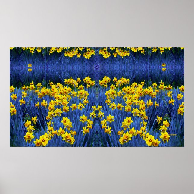 Poster Reflet des jonquilles (Devant)