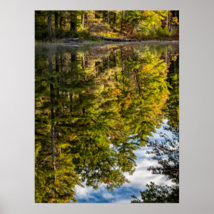 Poster Reflets dans l'étang Red Eagle   Montagnes Blanche