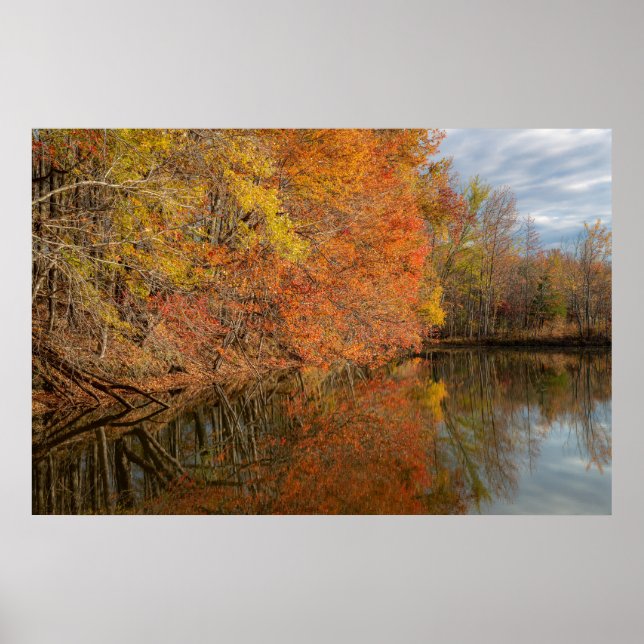 Poster Reflets d'Automne  (Devant)