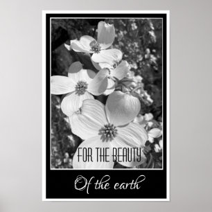Poster Reflets en noir et blanc pour l'affiche de beauté