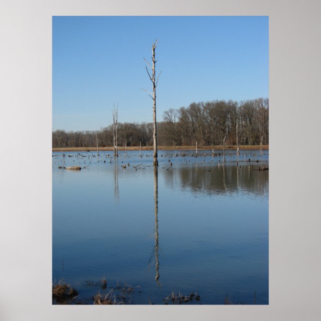 Poster Réflexion (Devant)