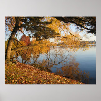 Poster Réflexion d'automne