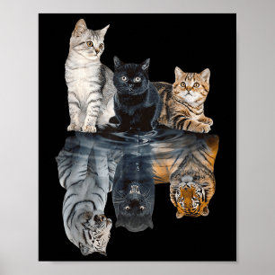 Poster Réflexion de chats Miroir Lion Cheetah Tiger Funny