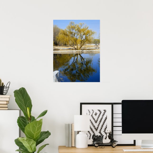 Poster réflexion des saules (Bureau à domicile)