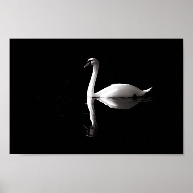 Poster Réflexion du cygne (Devant)