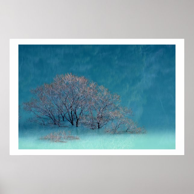 Poster Réflexion du lac des arbres d'hiver (Devant)