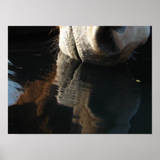 Poster Réflexion sur les boissons de cheval (Devant)