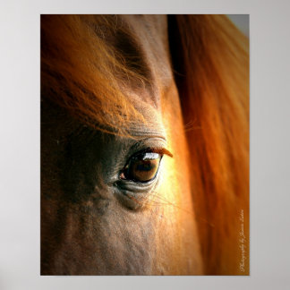 Poster Réflexions