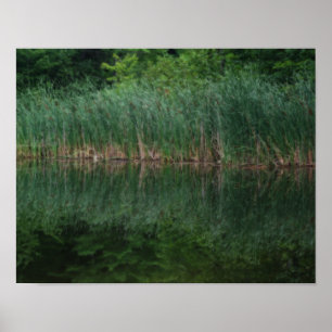 Poster Réflexions De Cattail Dans L'Effet De Pond Orton