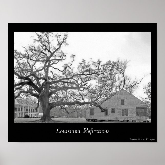 Poster Réflexions de la Louisiane (Devant)