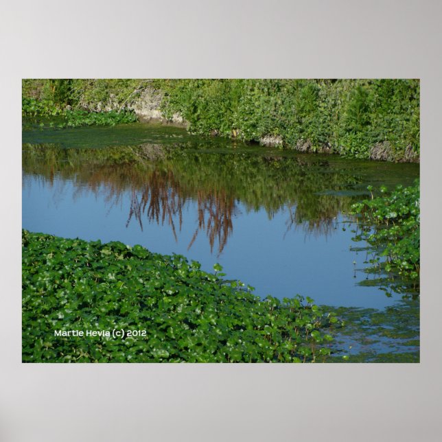 Poster Réflexions en vert (Devant)
