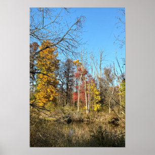 Poster Réflexions sur l'affiche du ruisseau