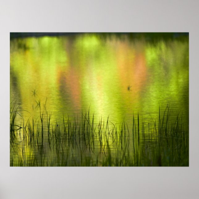 Poster Réflexions sur le lac Mirror | Yosemite (Devant)