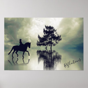 Poster Réflexions Température de stress Météo et Hippocra