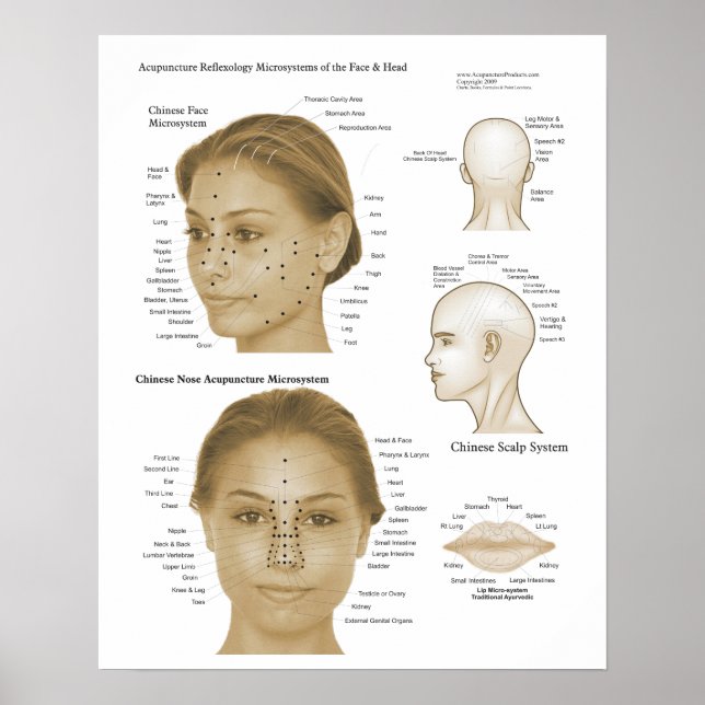 Poster Réflexologie de l'acupuncture Microsystèmes visage (Devant)